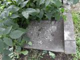 image of grave number 684624